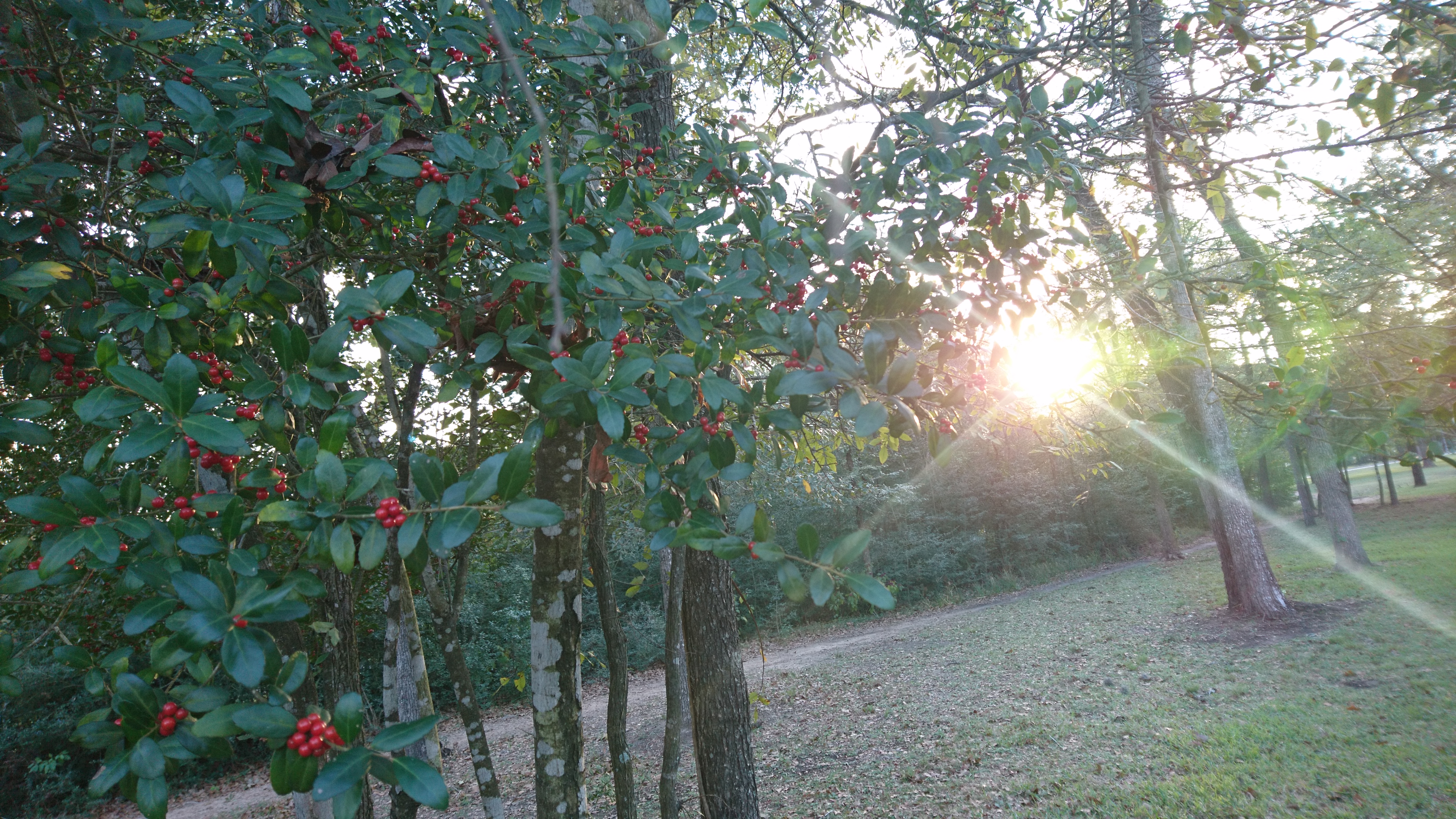 ワークショップの日。