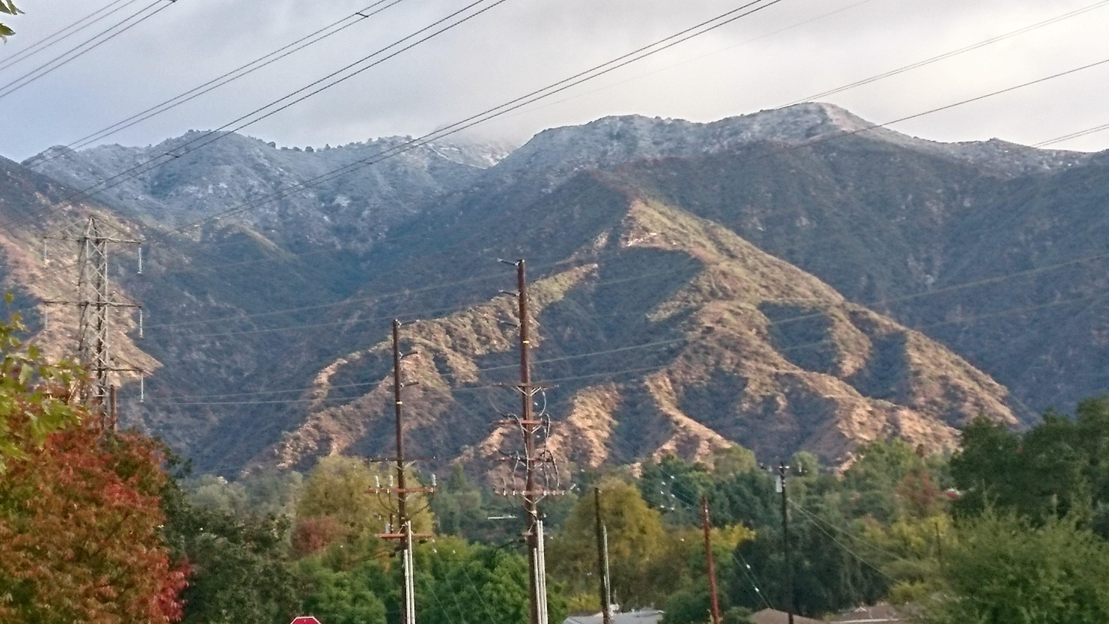 練習しながら哲学・歩きながら美学