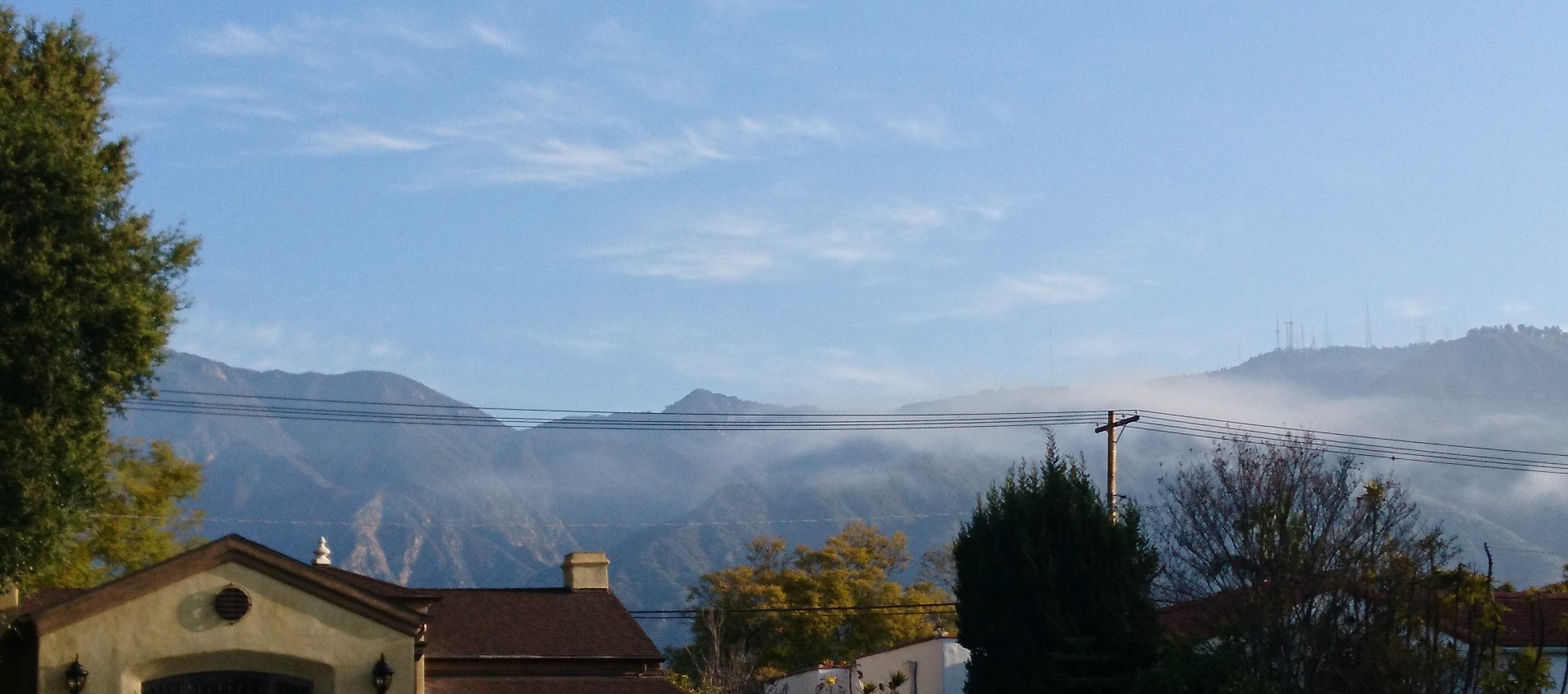 コロナ日記⑰：元気に感謝。