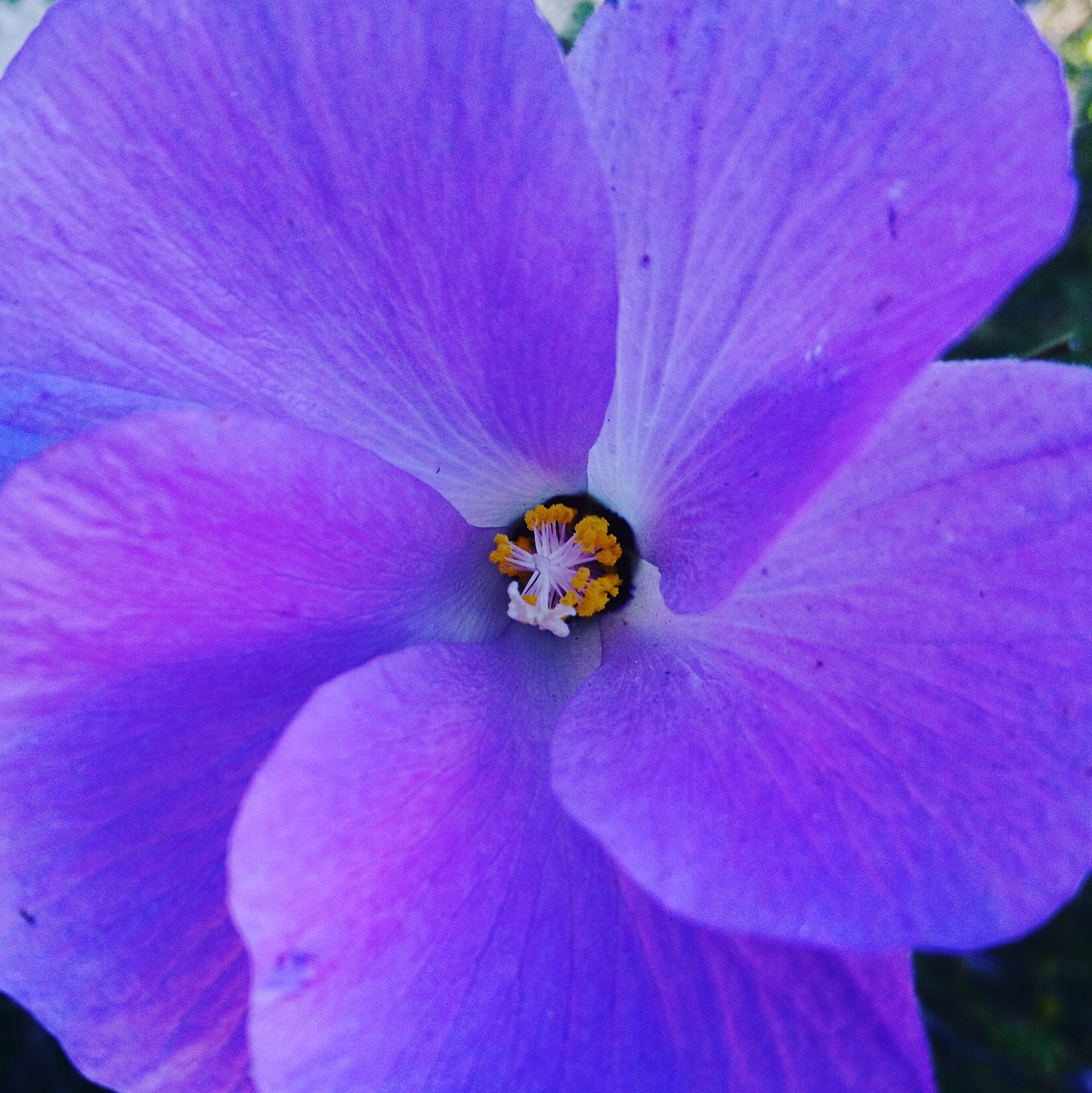 コロナ日記⑭：友情のありがたさ。