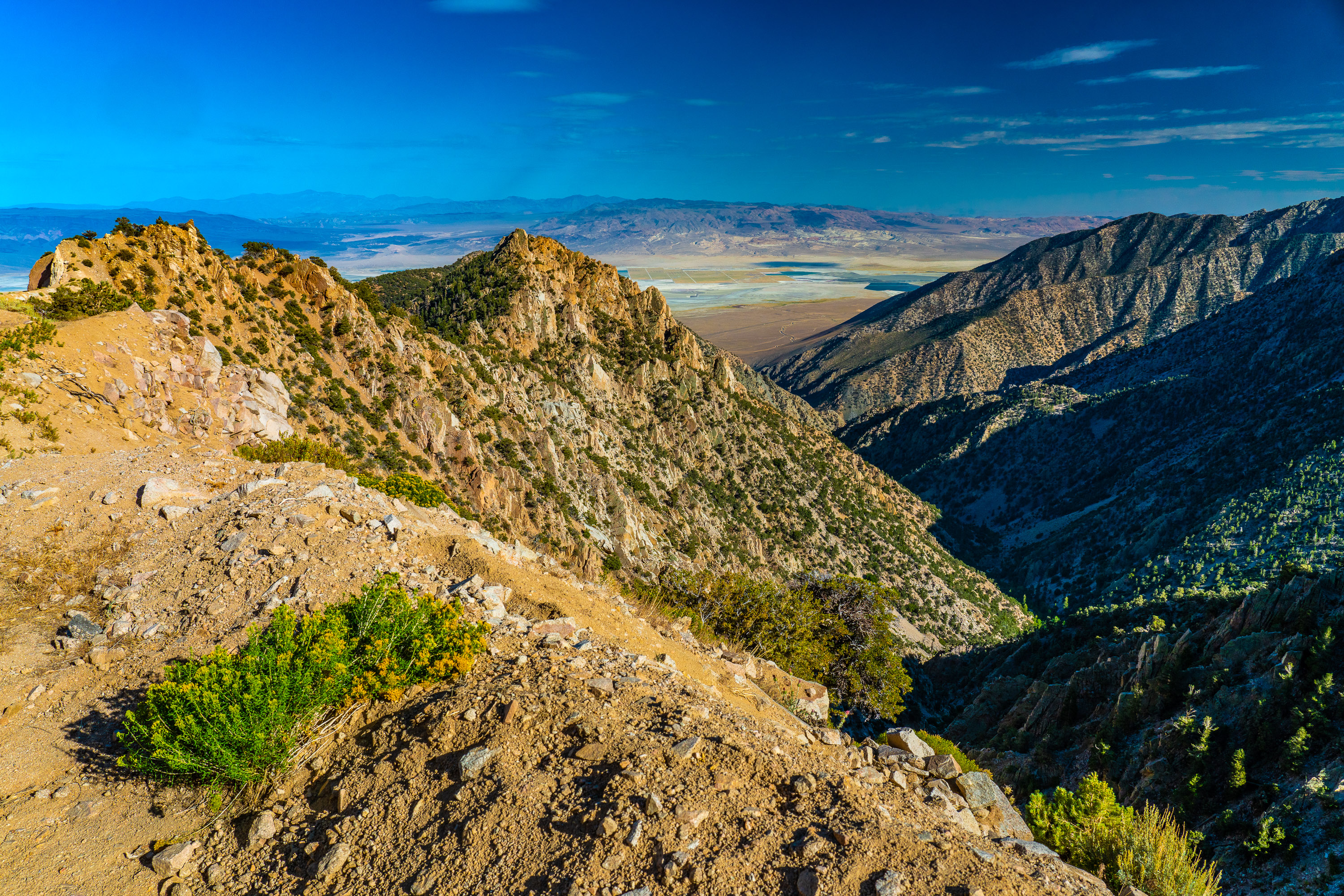 コロナ日記㉝：世界を股いで沢山のコラボ！