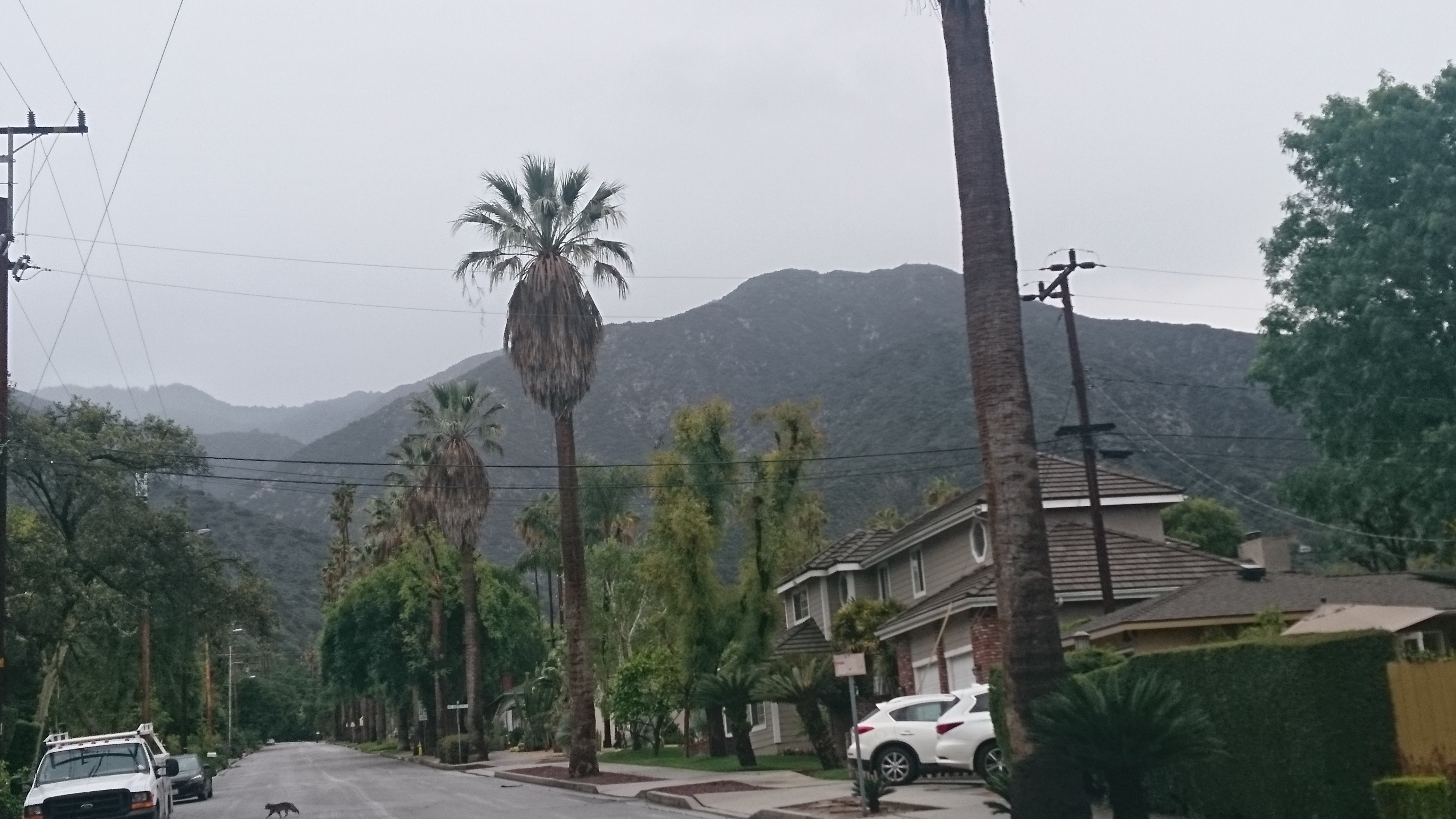 コロナ日記㉛：世界の友人と近況報告