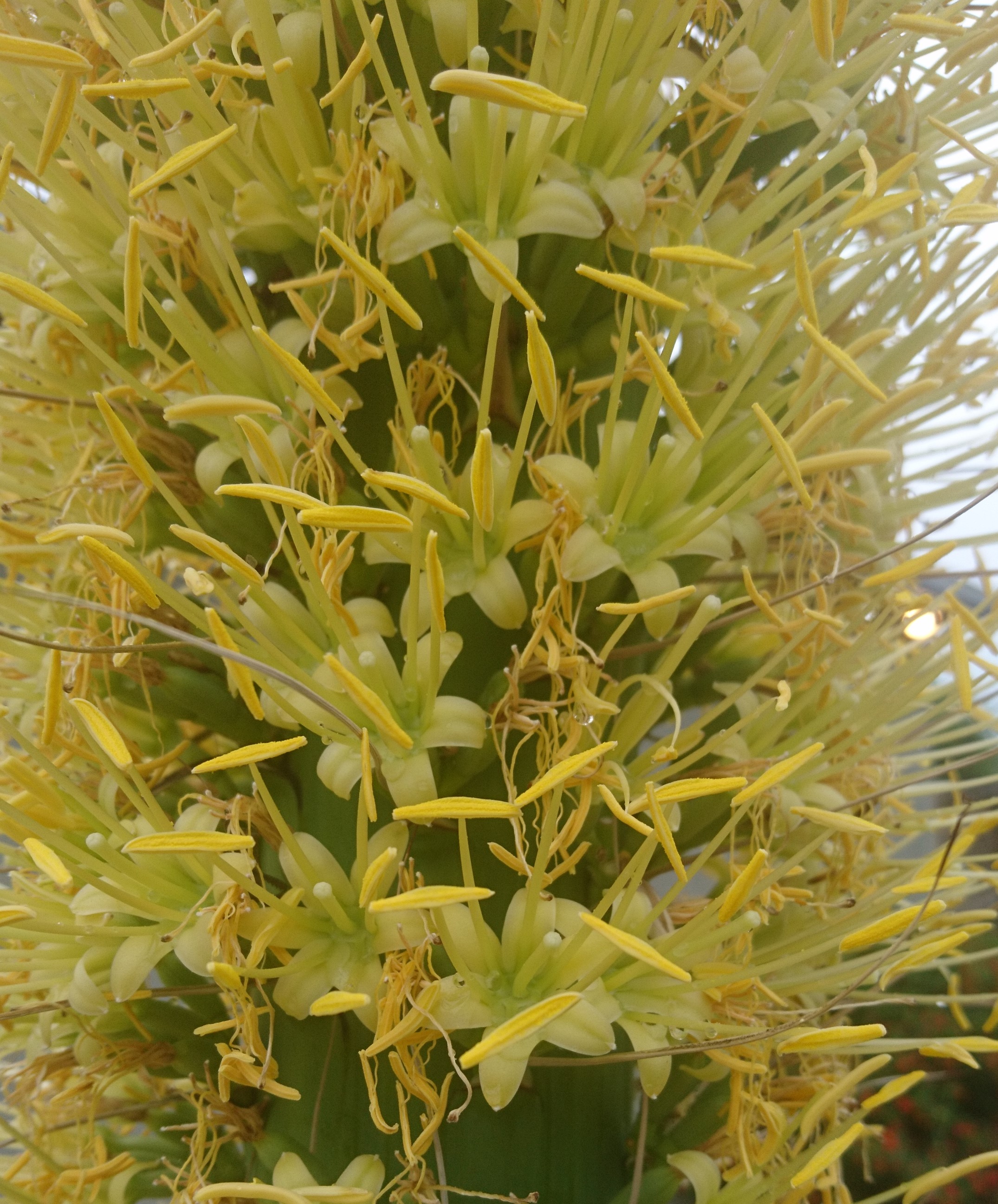 コロナ日記㊾観点の大切さ