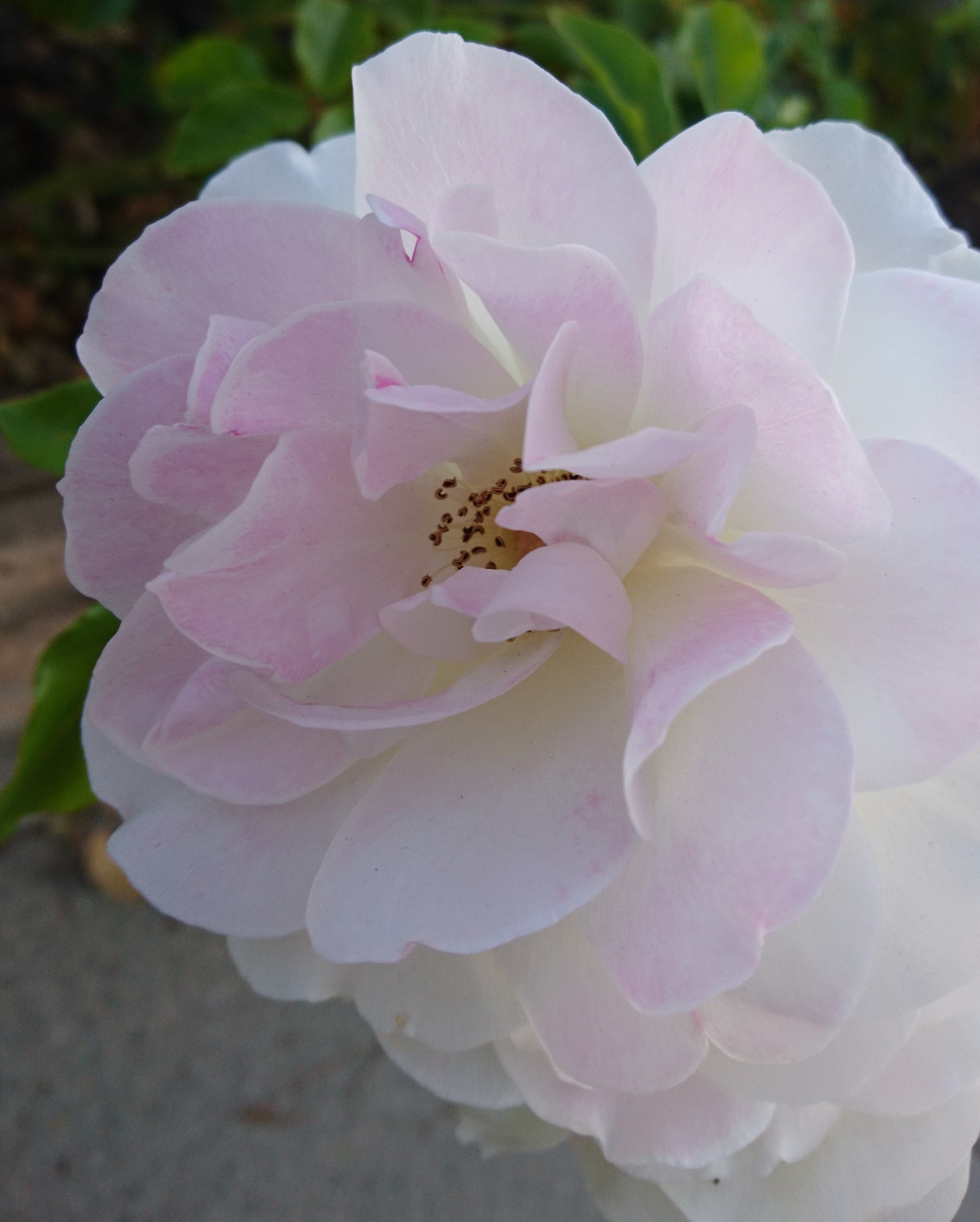 洒脱日記191：耳を傾けるということ