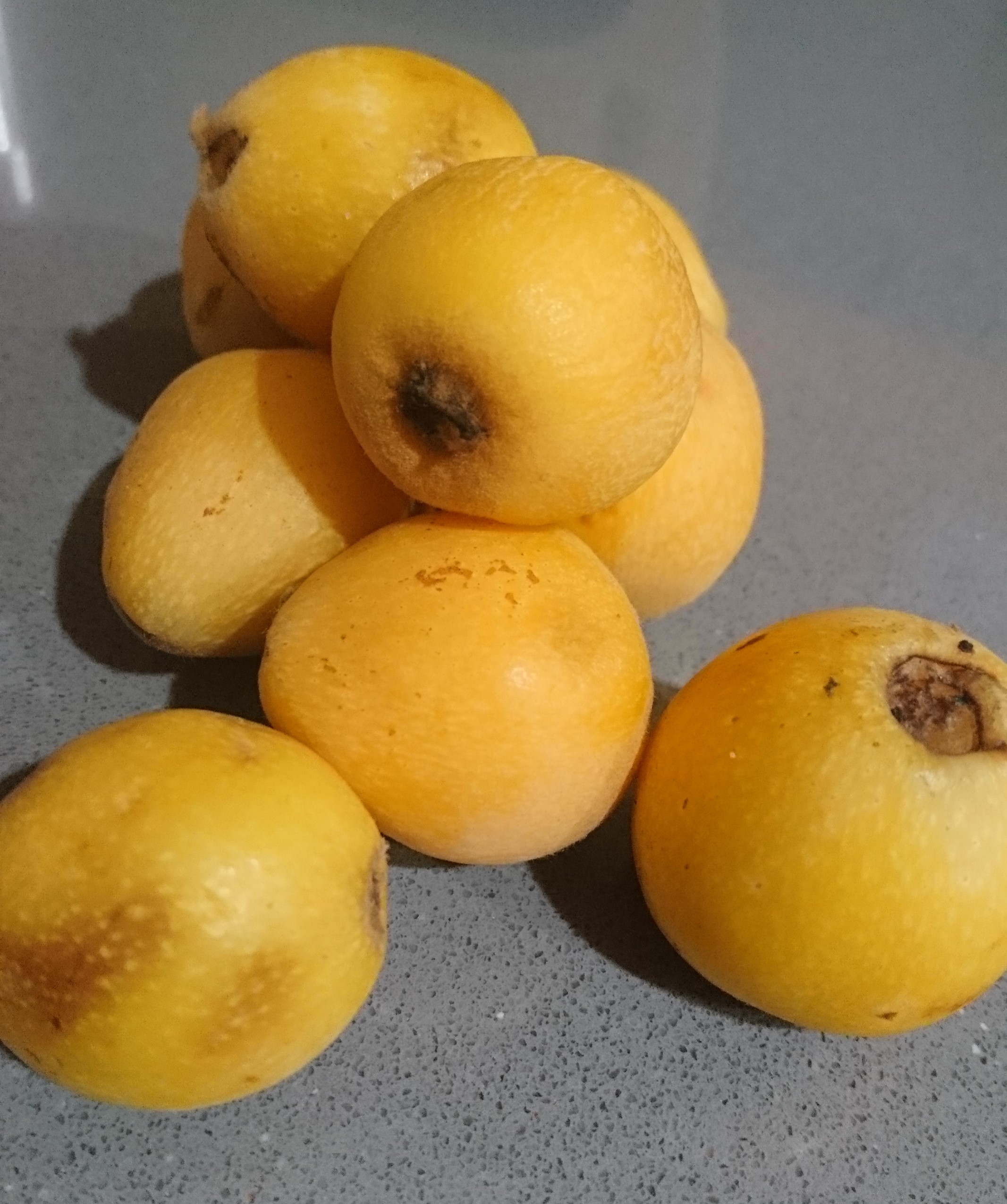 コロナ日記61：思い出に感謝。