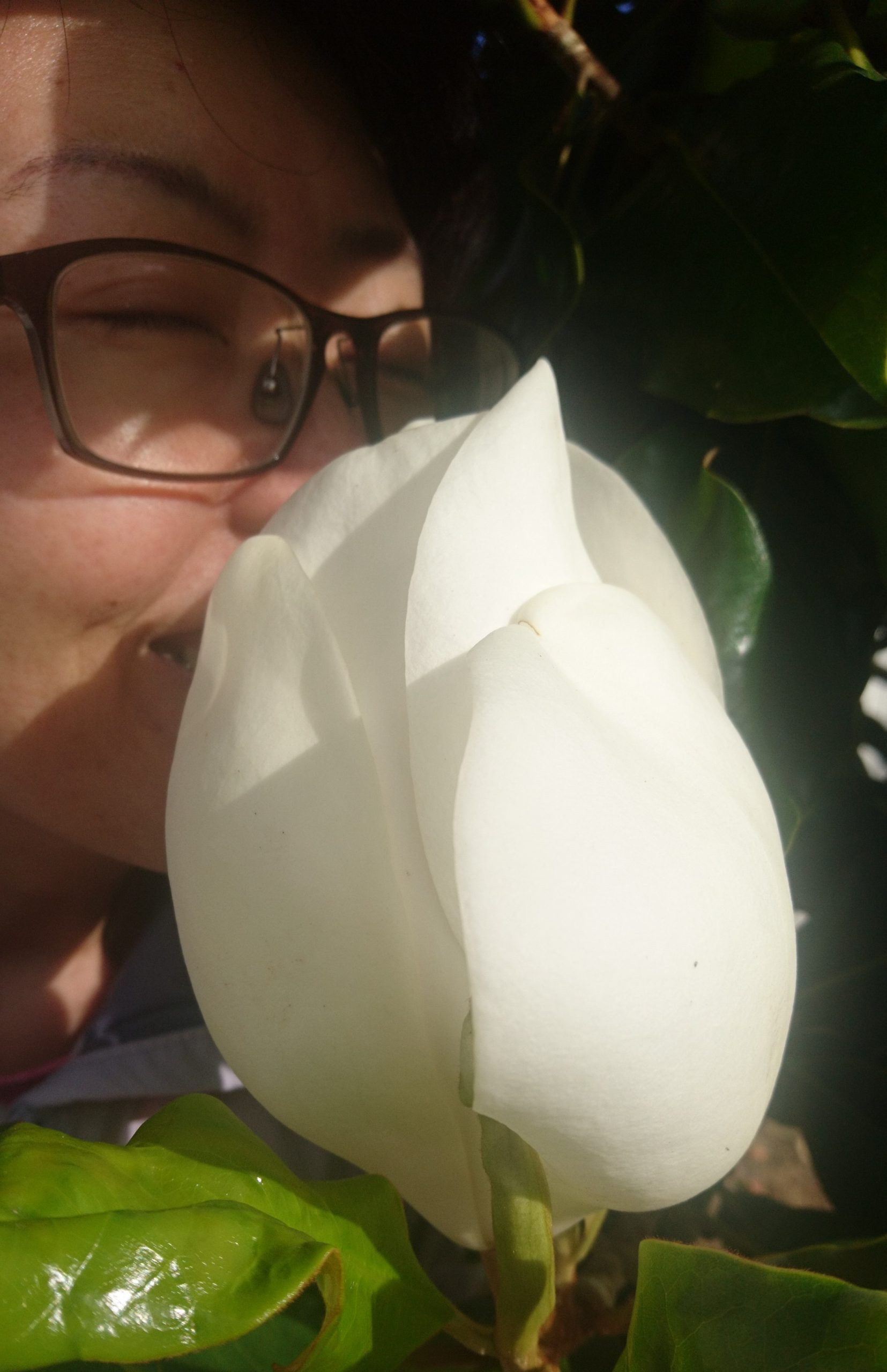 コロナ日記69：マインドフルネスとマインドワンダリング