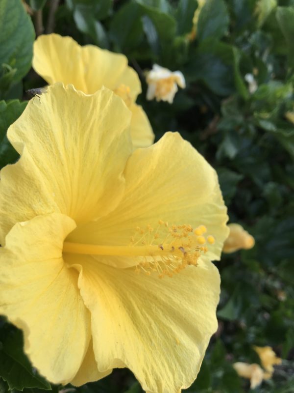 コロナ日記87：私なりの時事問題への取り組み方。