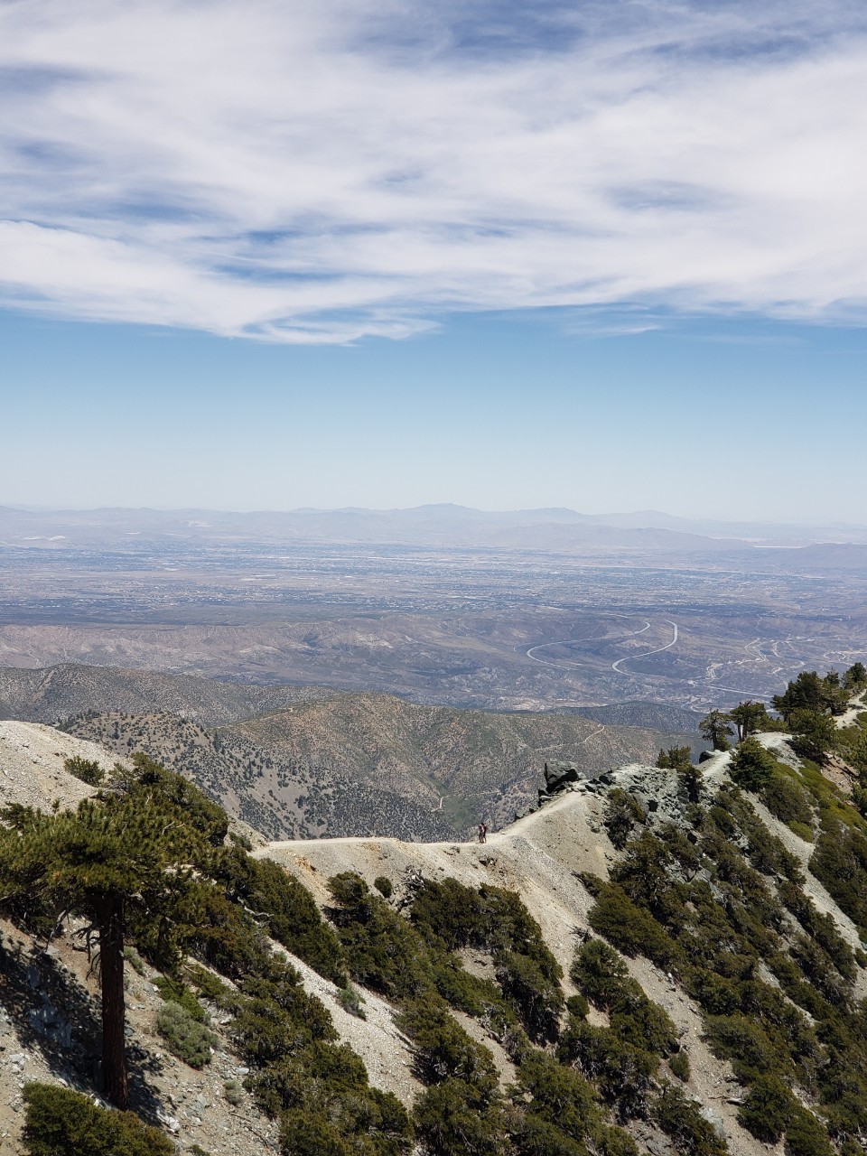 洒脱日記176：家の近所の空気が正常化して来ました！晴～れるや！