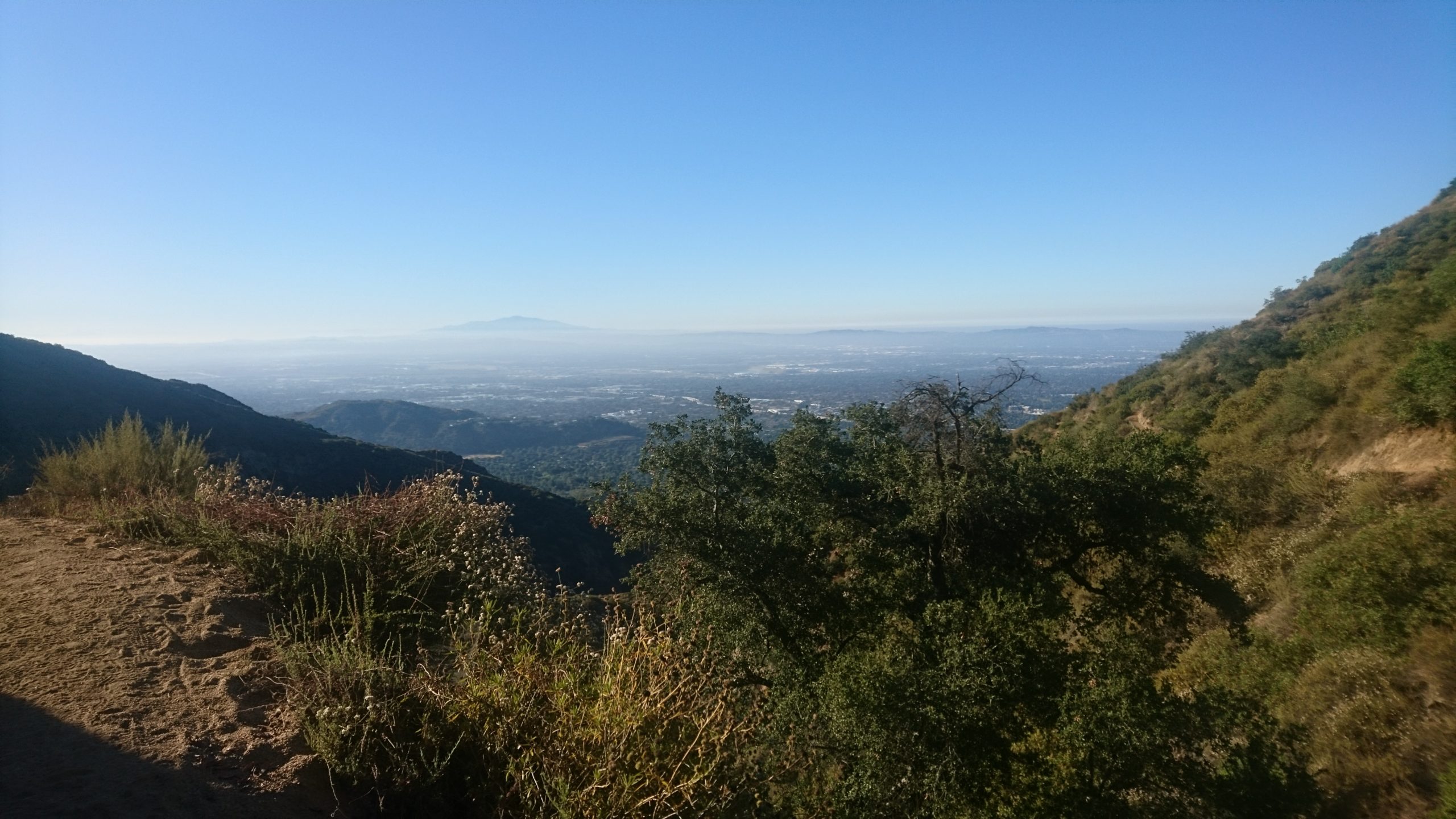 洒脱日記129:我を忘れる時間