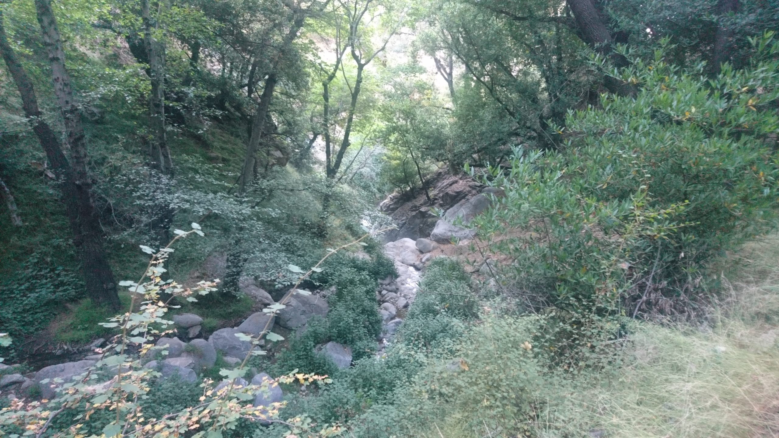 祝！改名「洒脱」日記128：祝！ユーチューバー真希子!!