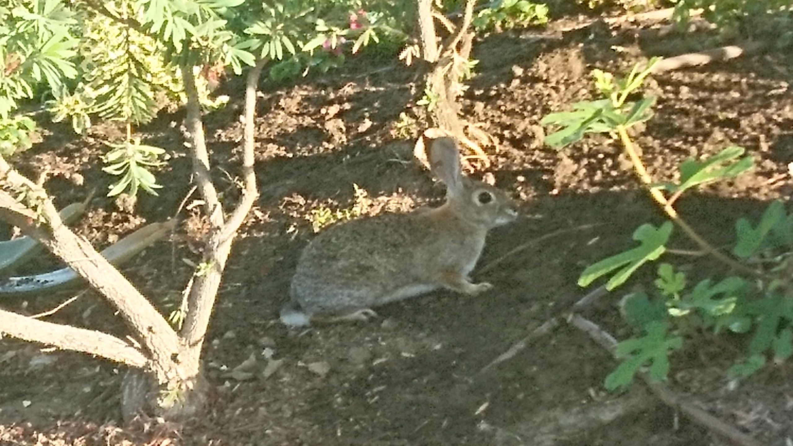 洒脱日記130：友情交歓ーありがとう！