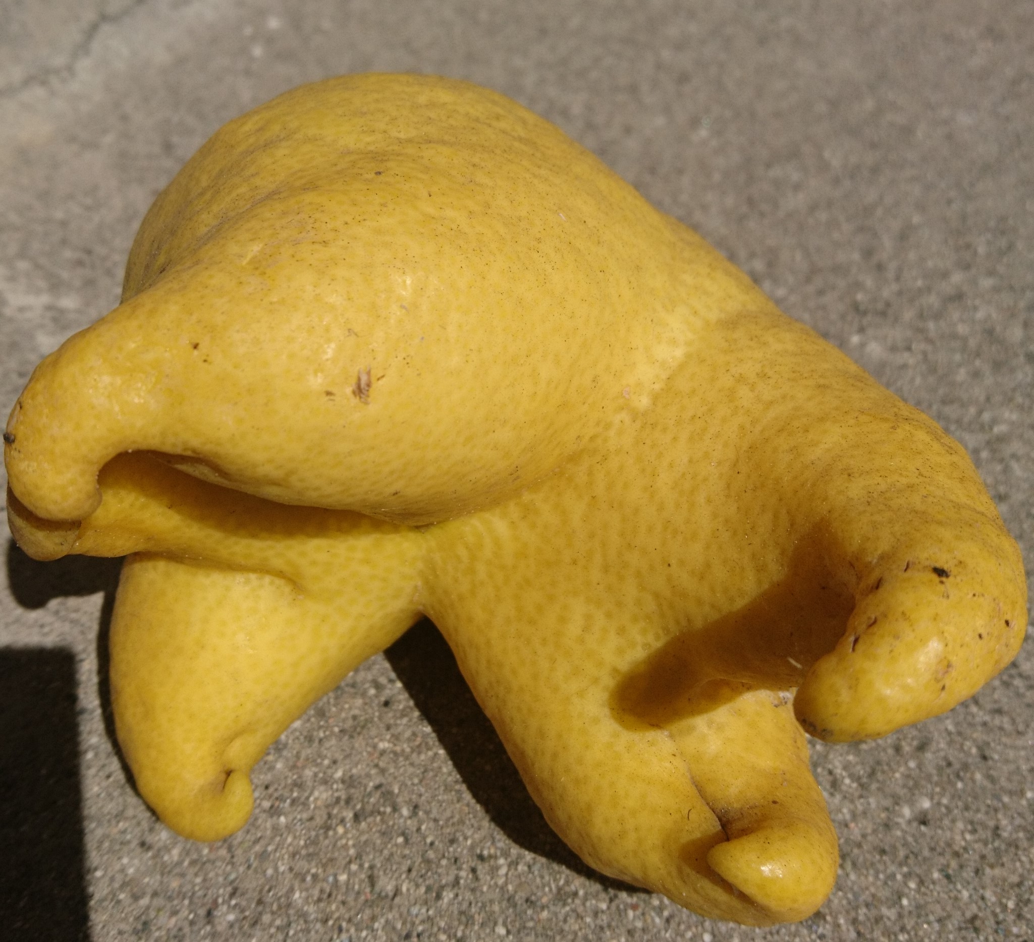 洒脱日記137：休日は食とヴィデオ制作！