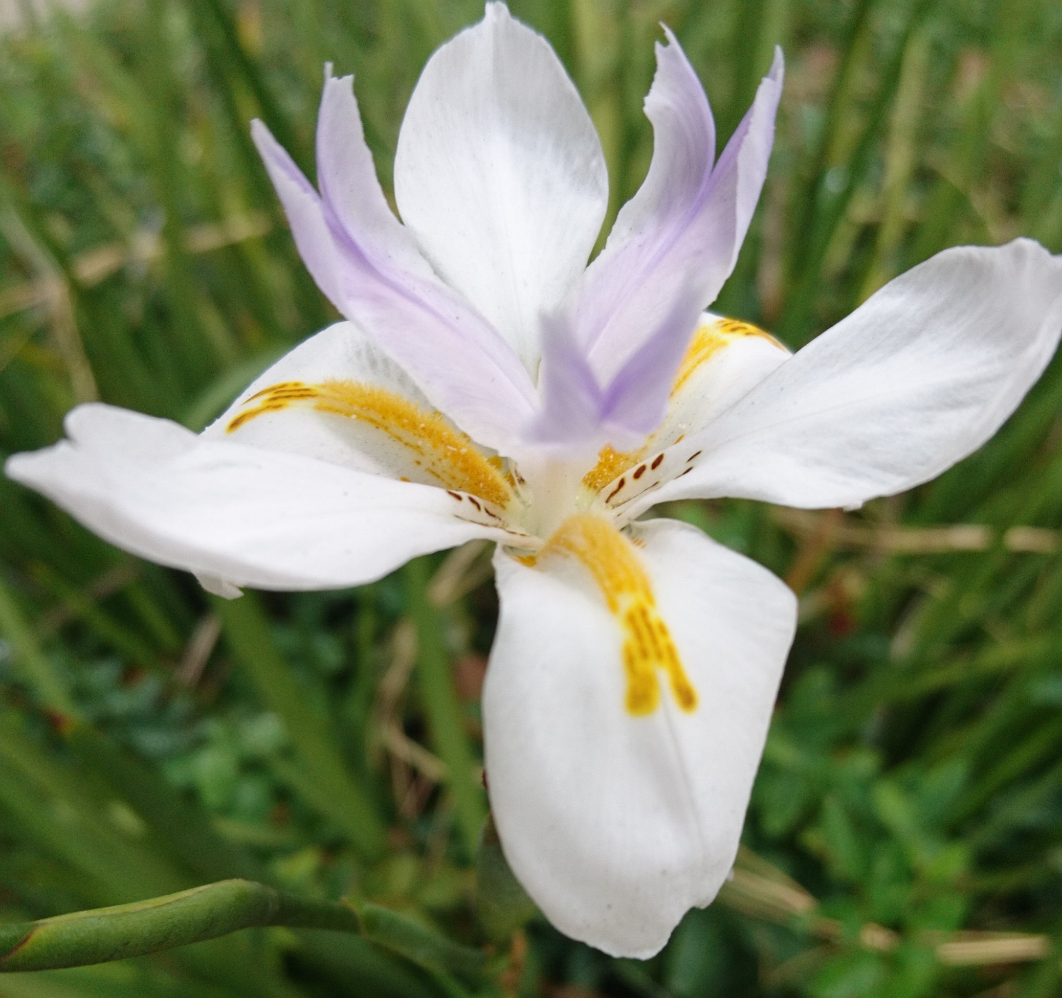 洒脱日記148：収録と応募で張り切った一日！