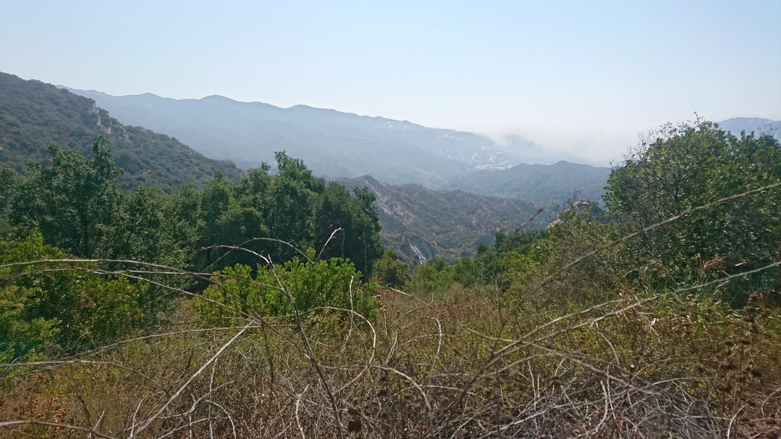 洒脱日記157：炎天下の山登り