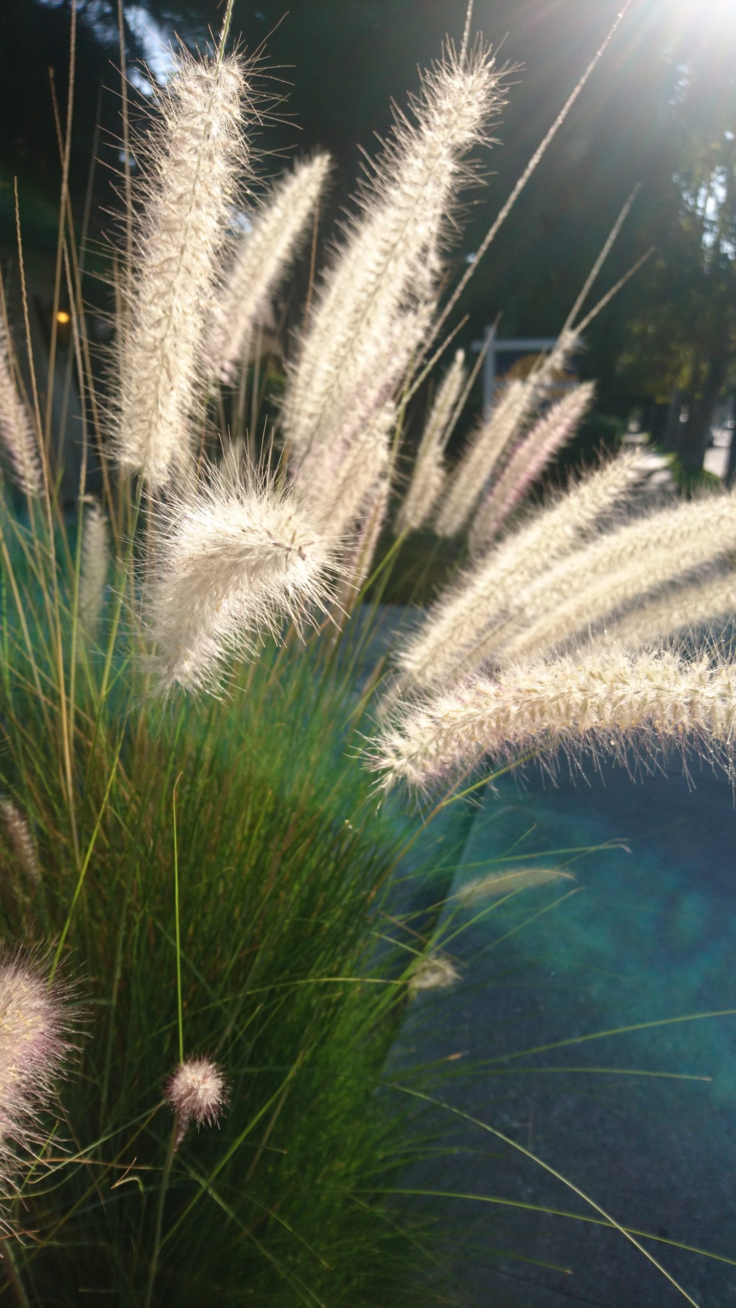 洒脱日記160：ありがとうございます。