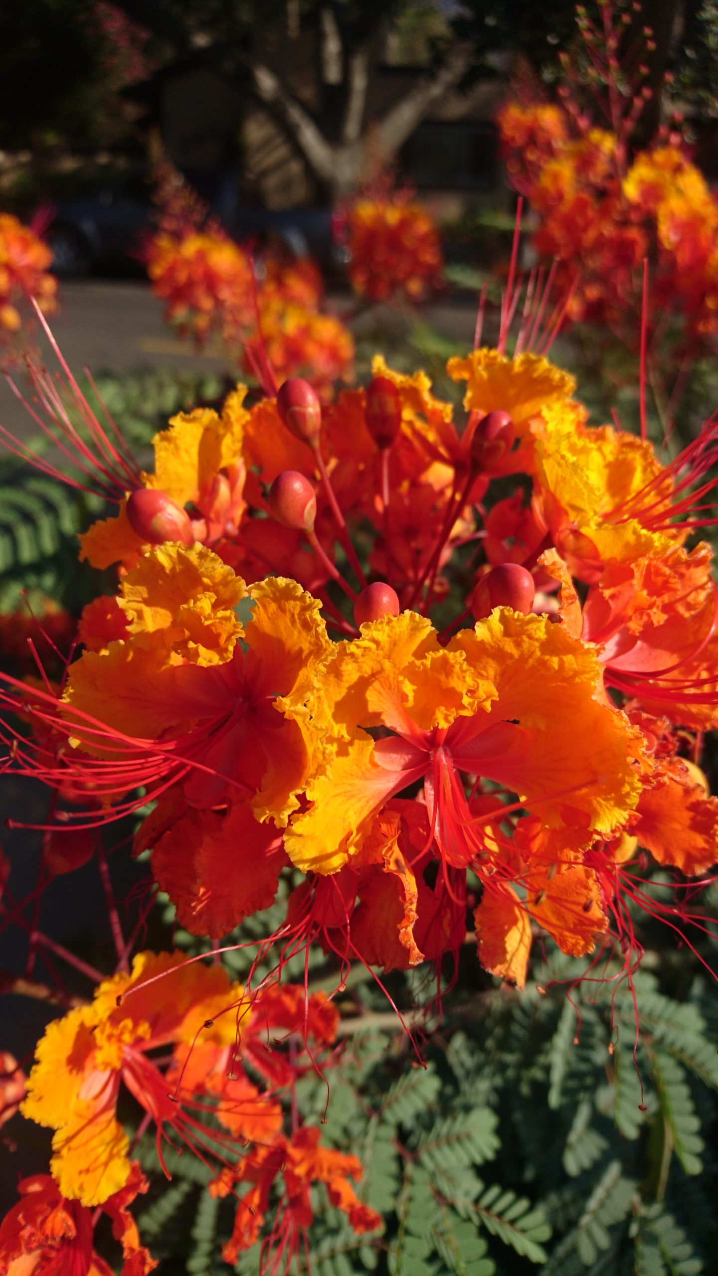 洒脱日記164：プロポーザルに必要なデータ…SOS!