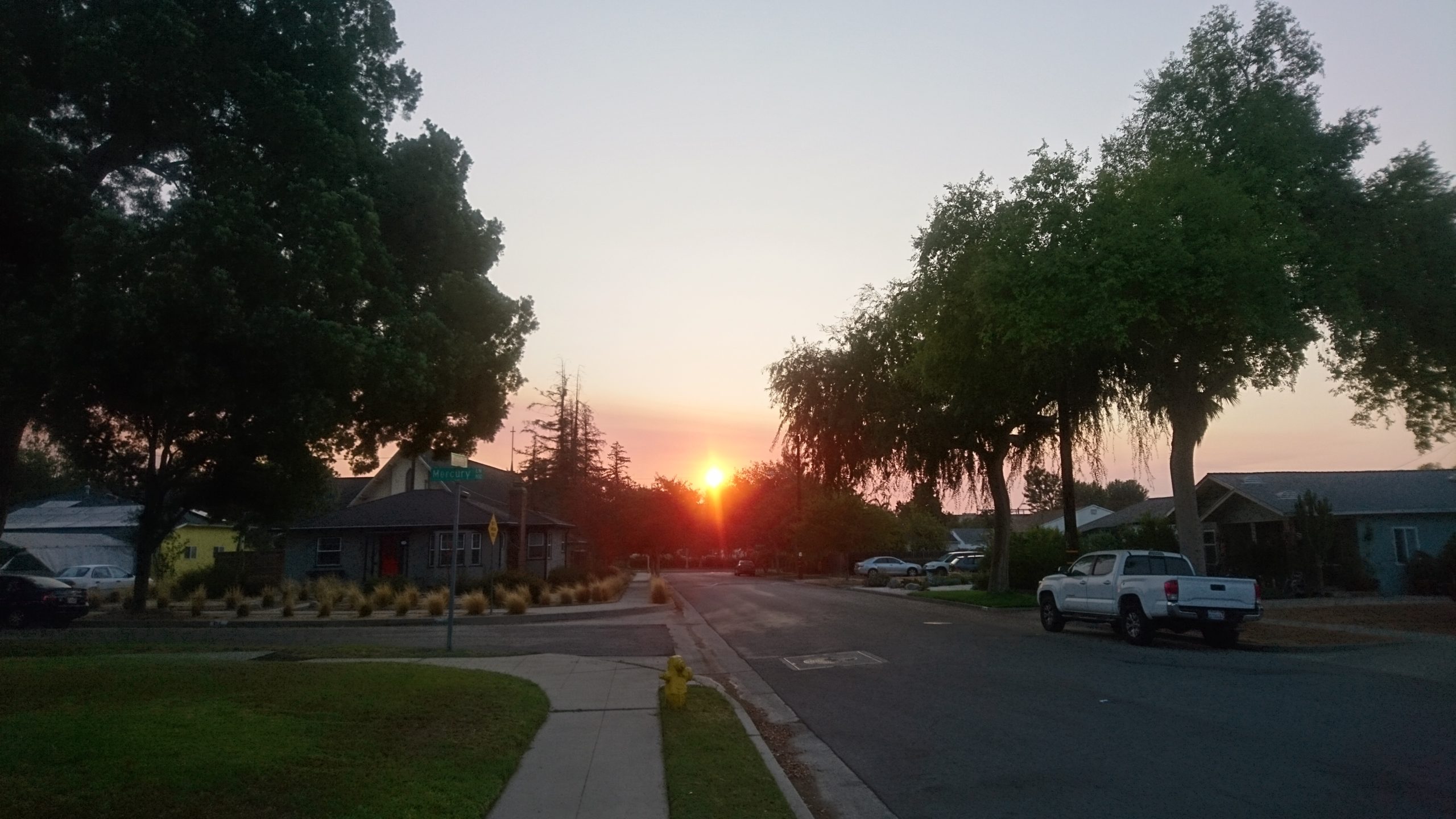 洒脱日記182：何があっても愛でるものが在る幸せ。