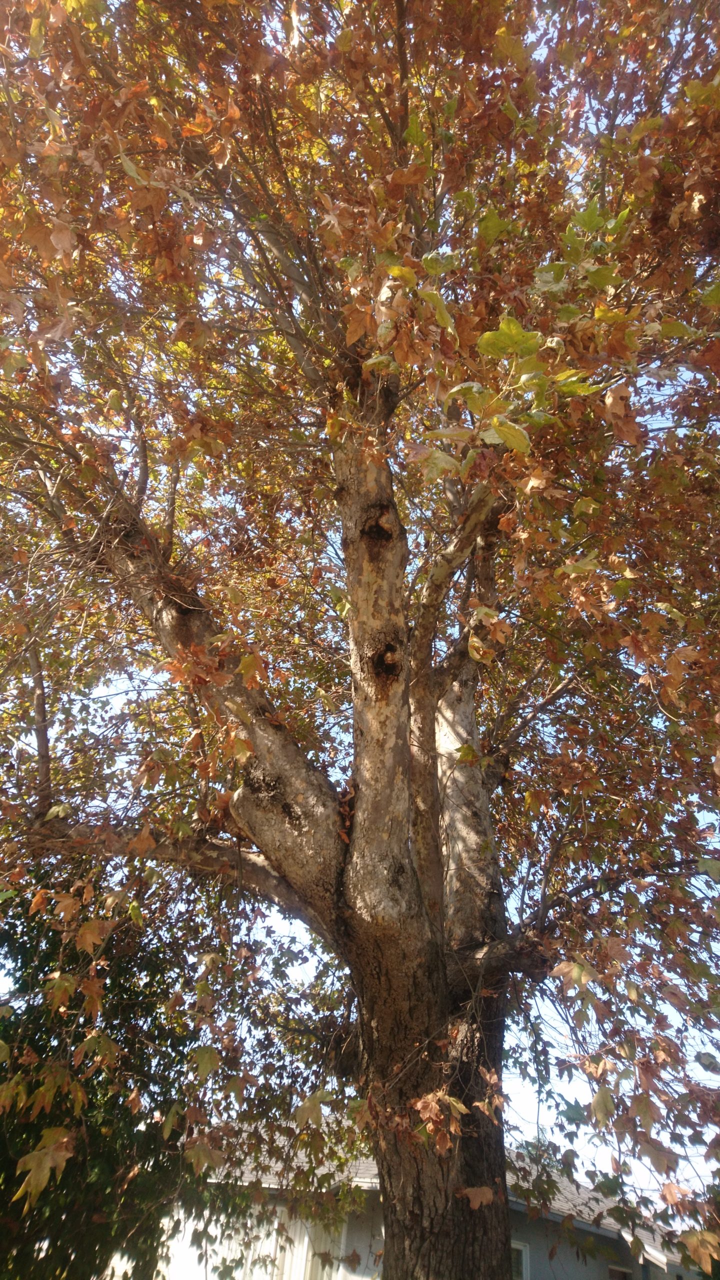 洒脱日記188：「Write to Change the World」ワークショップ