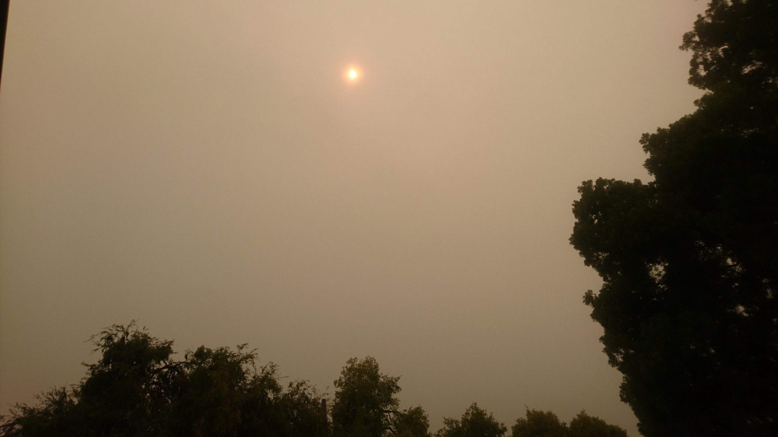 洒脱日記171：缶詰で執筆とバッハとベートーヴェン