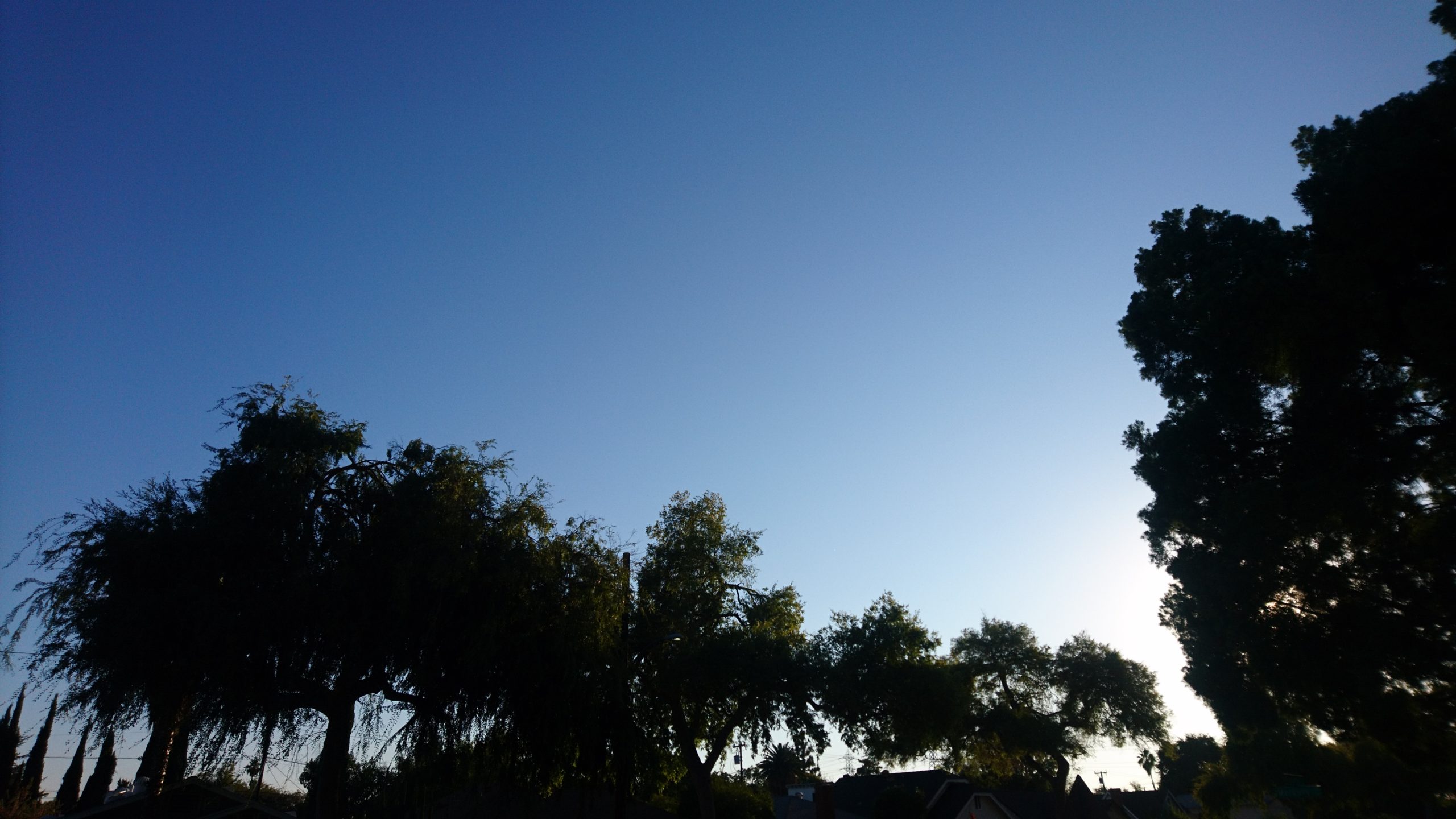 洒脱日記198：秋晴れ！