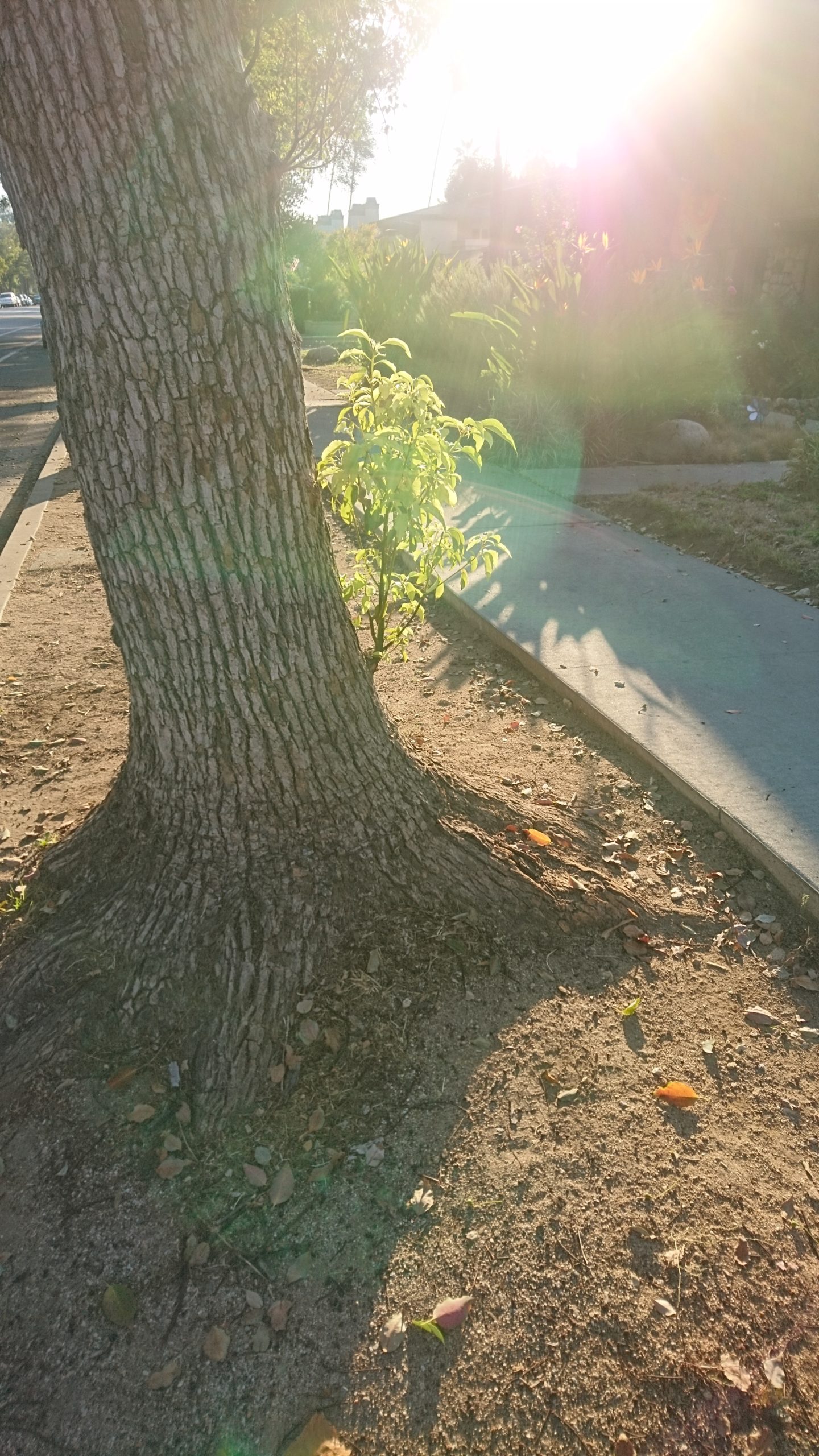 洒脱日記206：立ち止まって状況判断。