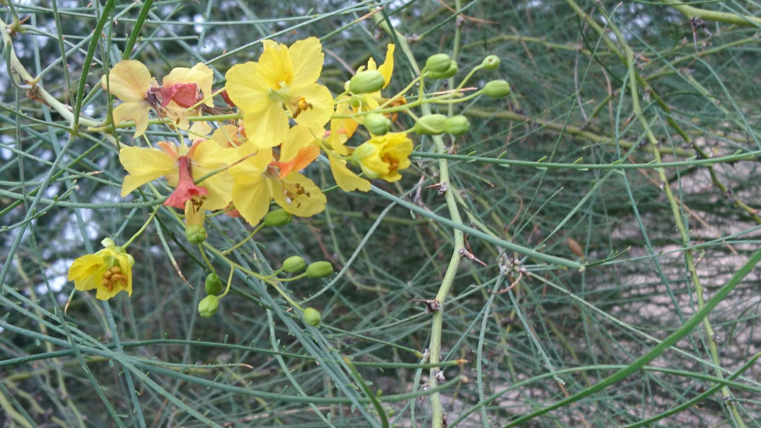 洒脱日記212：究極のバランス