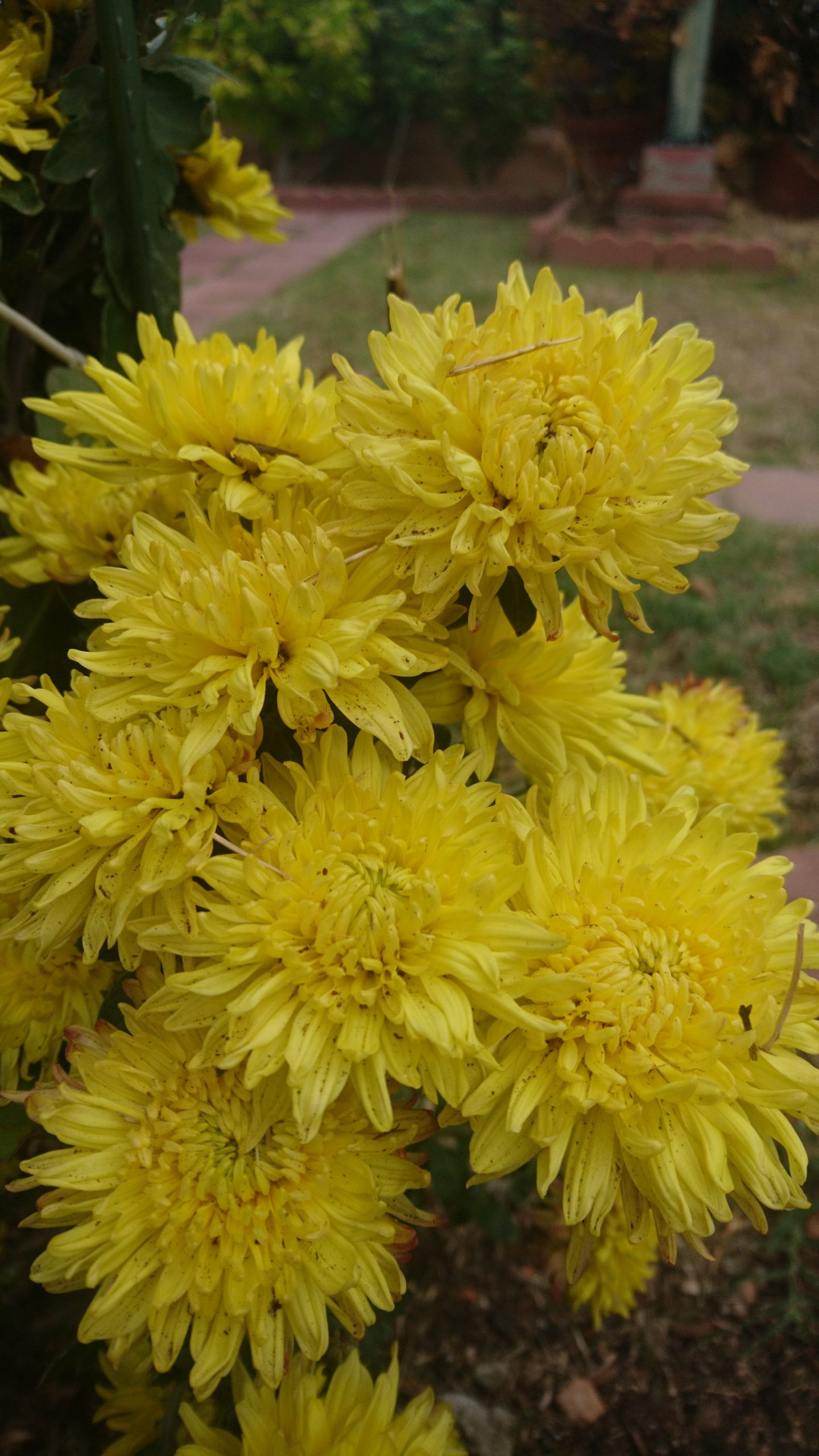 洒脱日記215：練習時間について