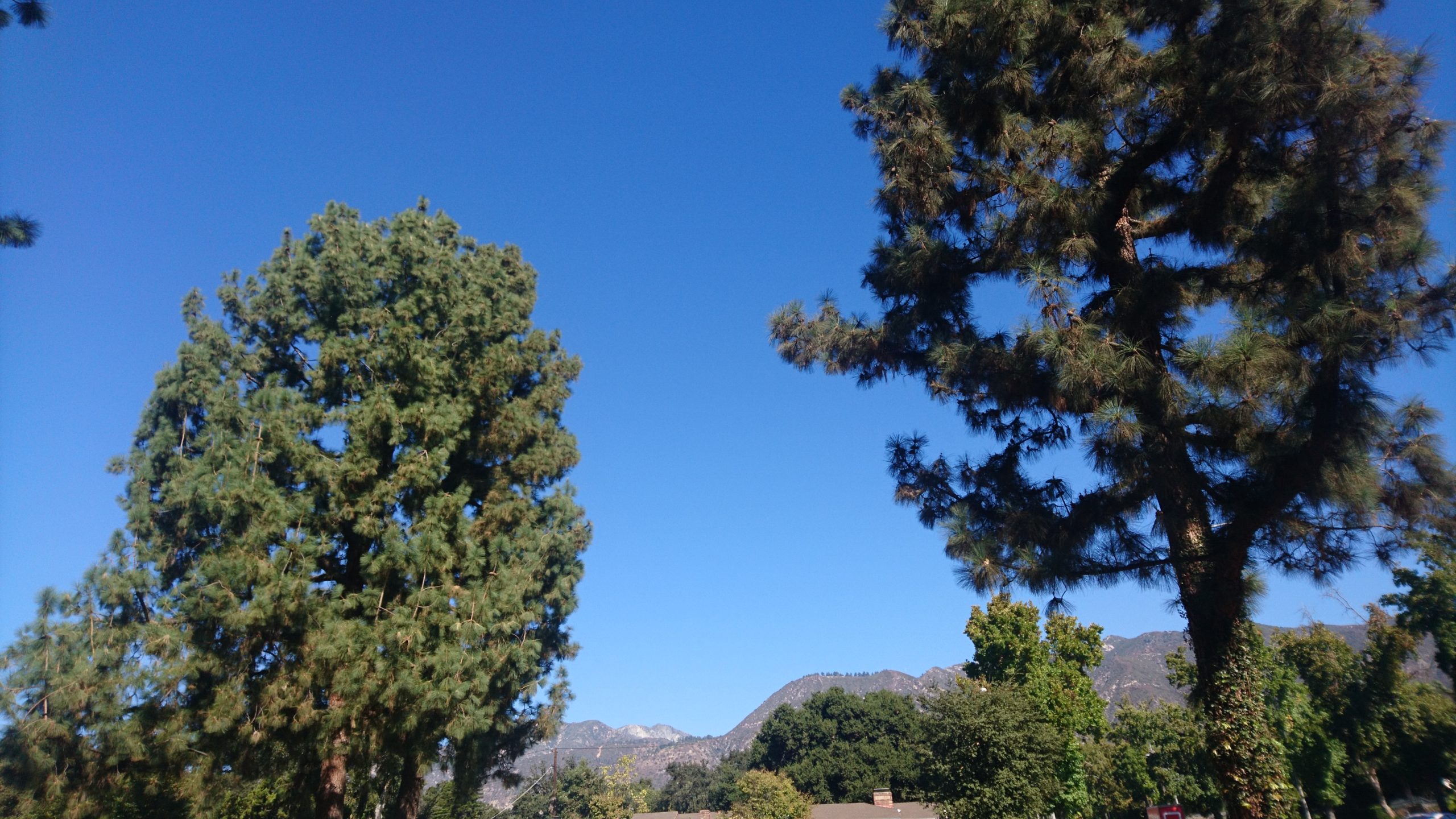 洒脱日記214：小春日和の思い出