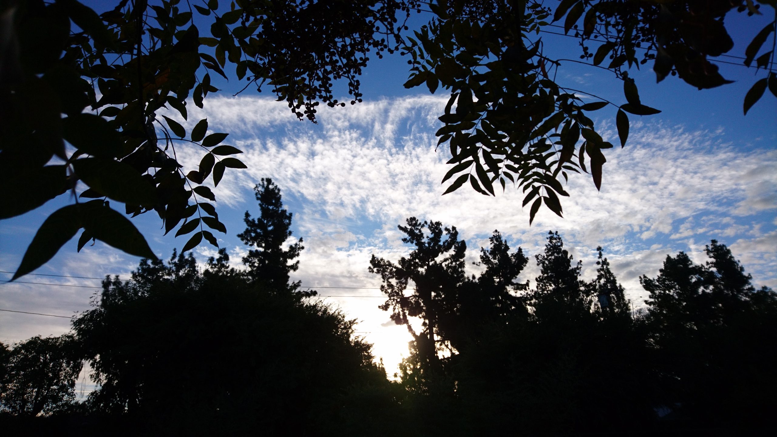 洒脱日記217：選挙前夜の不安