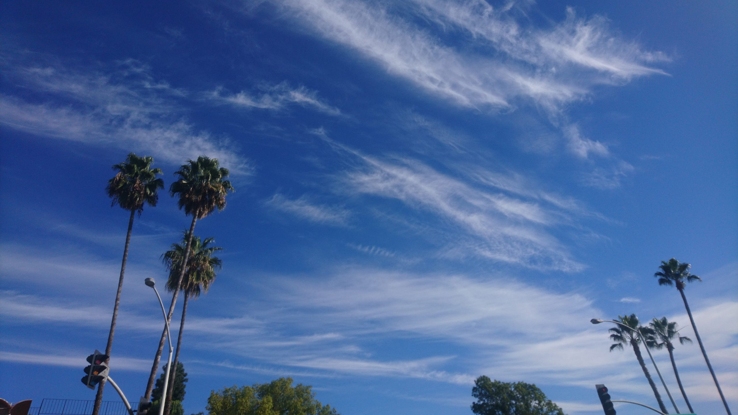 洒脱日記225：冬眠の日