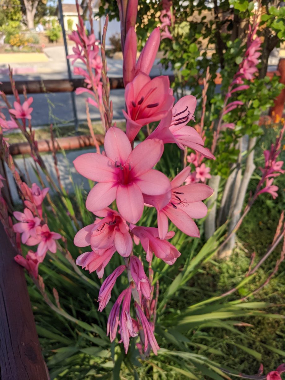 明鏡日記⑩：久しぶりにYouTubeアップ。