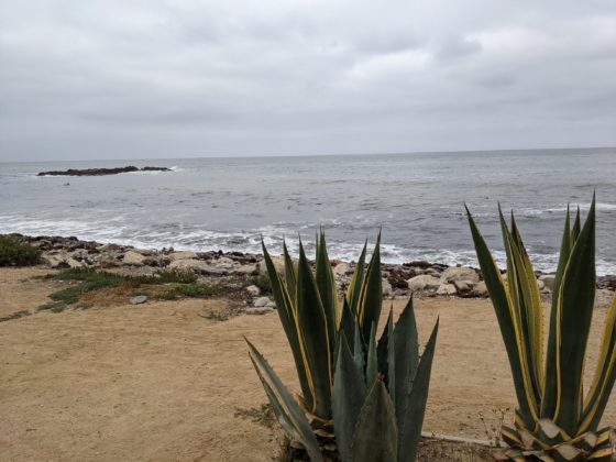 明鏡日記⑭：週末イベントとバッハのニ長調の前奏曲とフーガ