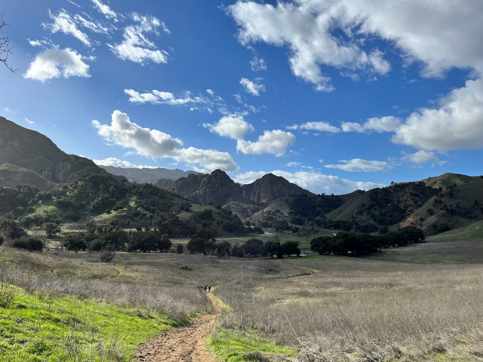 美笑日記1.2.23：今年の抱負と天使の到来。