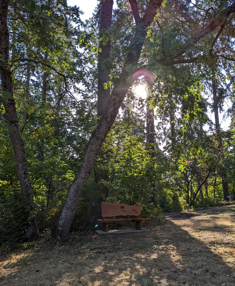 美笑日記9.18：バトンを受け取る旅